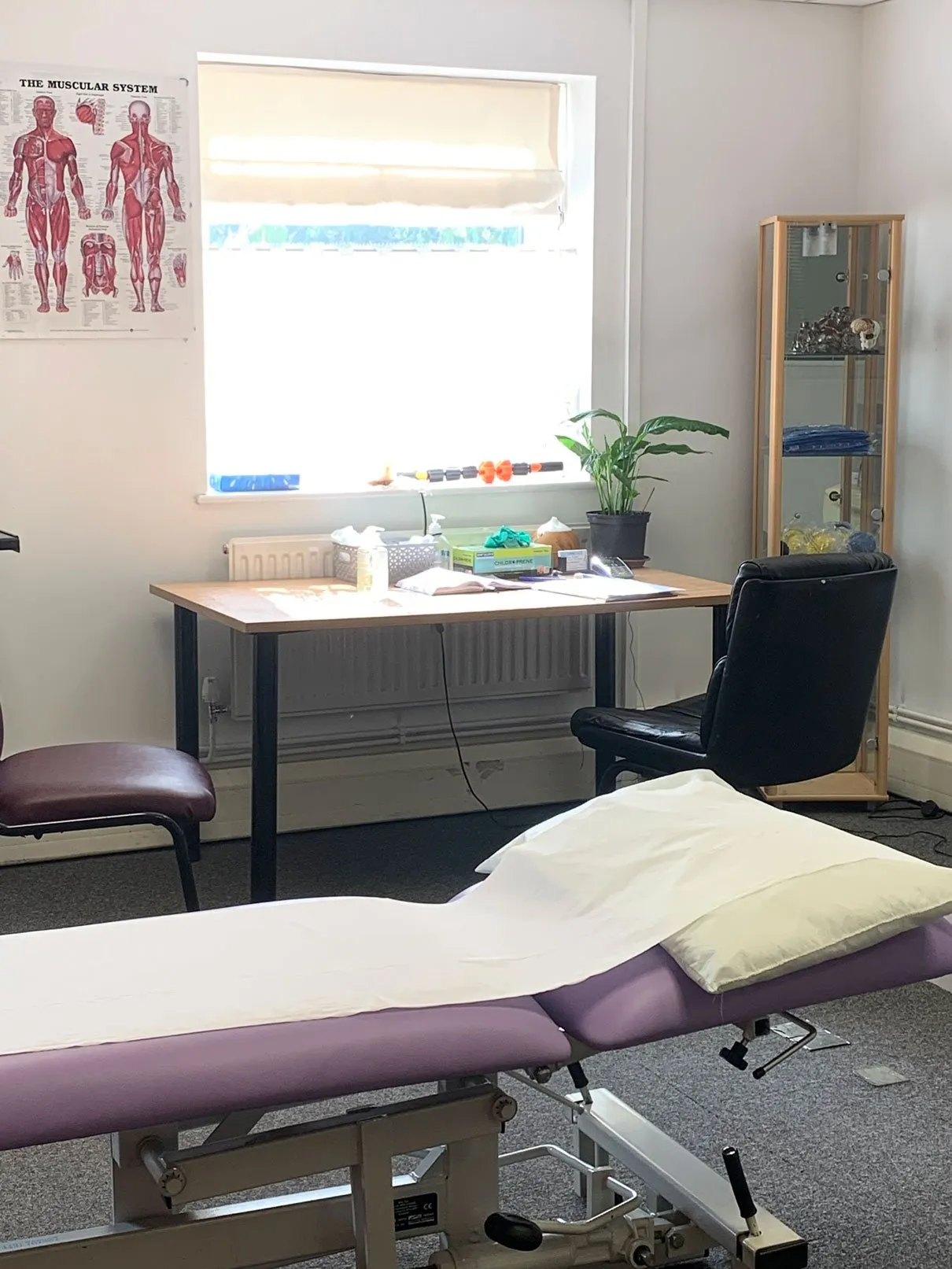 Elvina's Osteopathic Clinic - Image 2